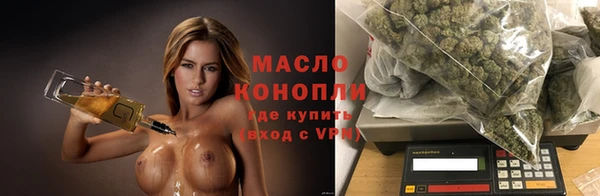 сатива Кулебаки