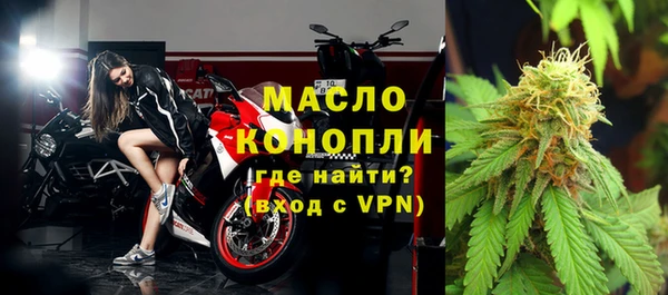 эйфоретик Вяземский