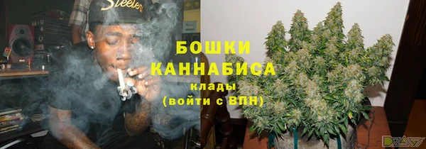 сатива Кулебаки