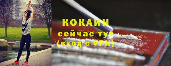 сатива Кулебаки