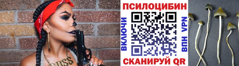 Псилоцибиновые грибы Psilocybine cubensis  блэк спрут вход  Далматово 